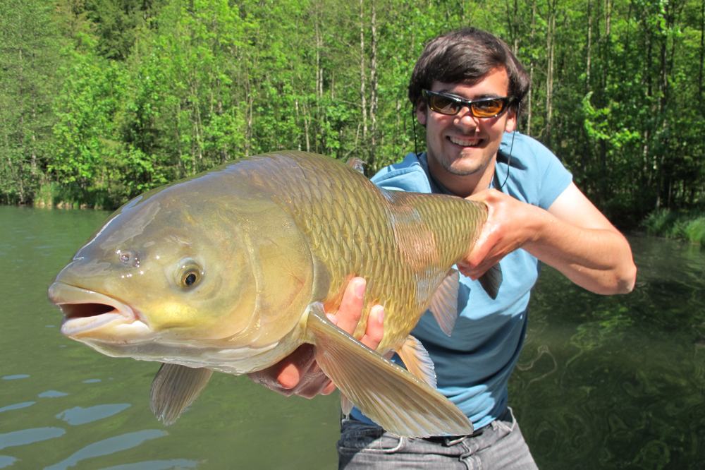 Fly Fishing Germany - Guided trips based in Munich